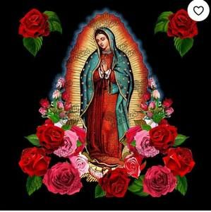 Meet your Posher, Estela